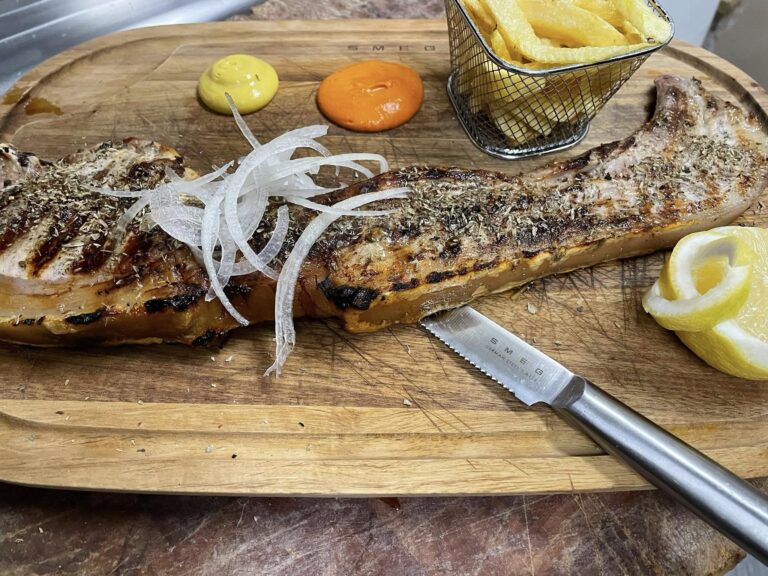 488257974 1246032934100333 7429456654123142349 n 768x576