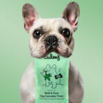 488783234 1238747181046529 2221084973906116124 n 150x150