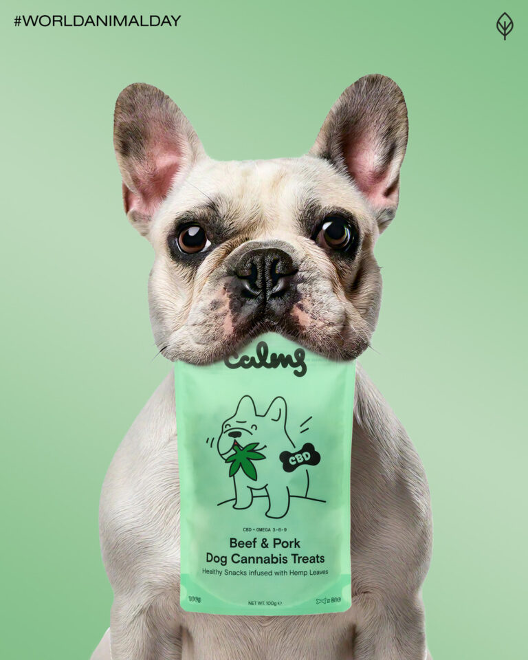 488783234 1238747181046529 2221084973906116124 n 768x960