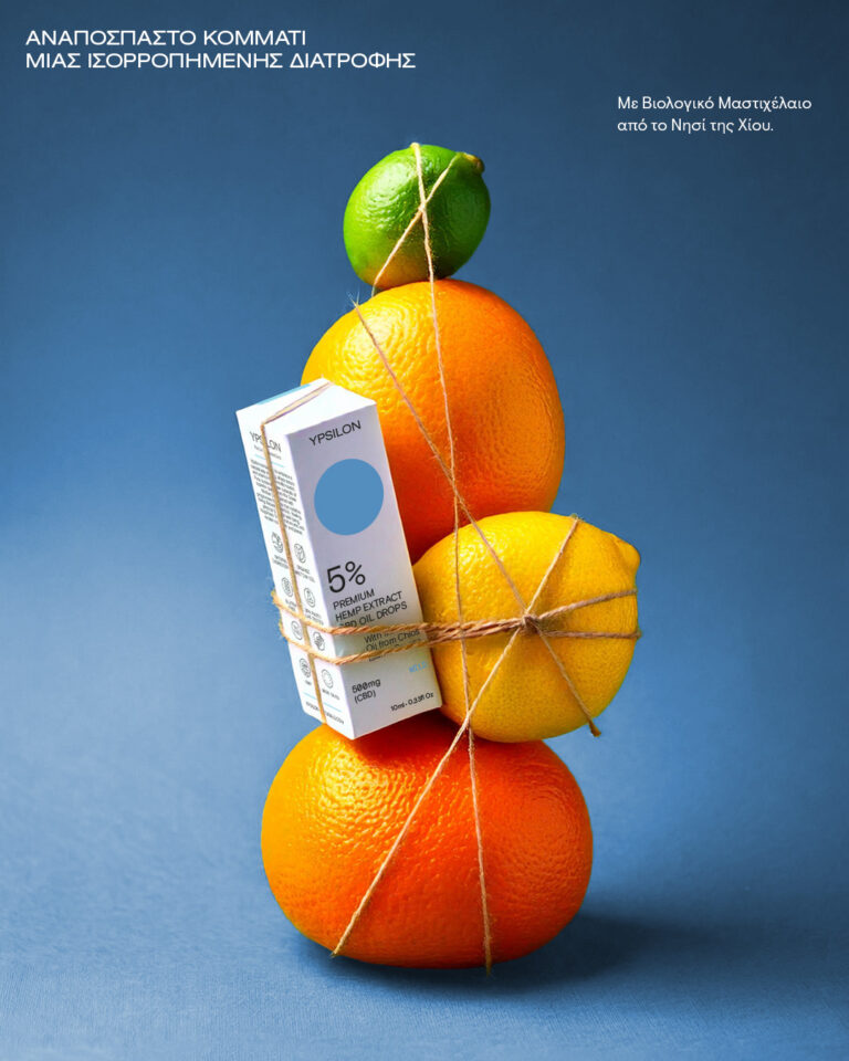 489466998 1238846384369942 8338738441512001241 n 768x960