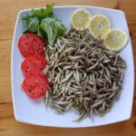 67577843 2419667564742998 6215092469319598080 n 150x150