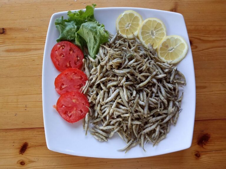 67577843 2419667564742998 6215092469319598080 n 768x576