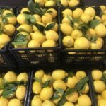 IMG 19aa15b6809dddd763167a1093d91d9f V Copy 150x150