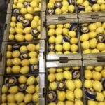 IMG 4d317aaea22e8a838e92c23a76dc74ef V Copy 150x150