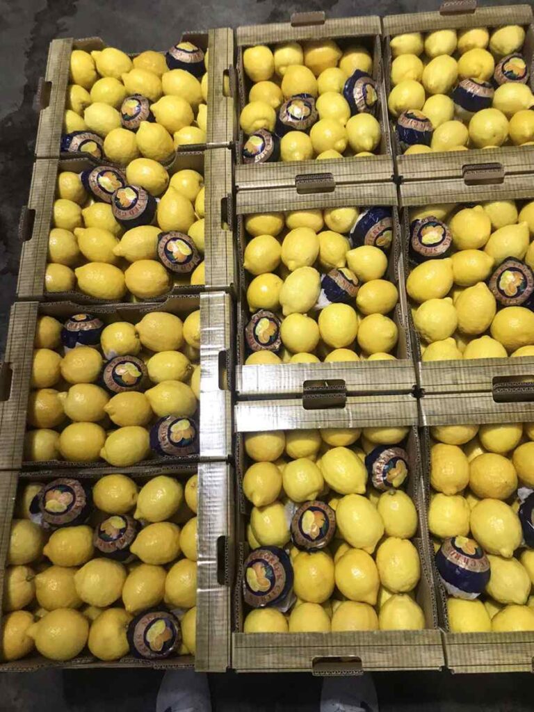 IMG 4d317aaea22e8a838e92c23a76dc74ef V Copy 768x1024