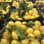 IMG 4eebd591a6ebefc24f7e153a042c86a2 V Copy 150x150