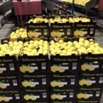 IMG 52213ed47254324b1a26175fd5e13ac2 V Copy 150x150