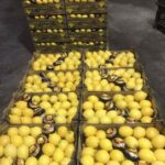 IMG 920ea3fa440ceb7e813a696a6df22836 V Copy 150x150