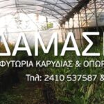 cropped SLIDE1 1 150x150