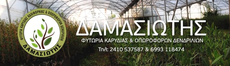 cropped SLIDE1 1 768x220