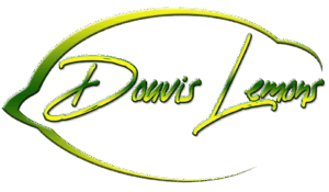 douvis logo 300x175