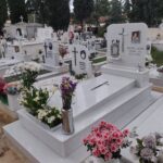 IMG 20250430 124115 150x150