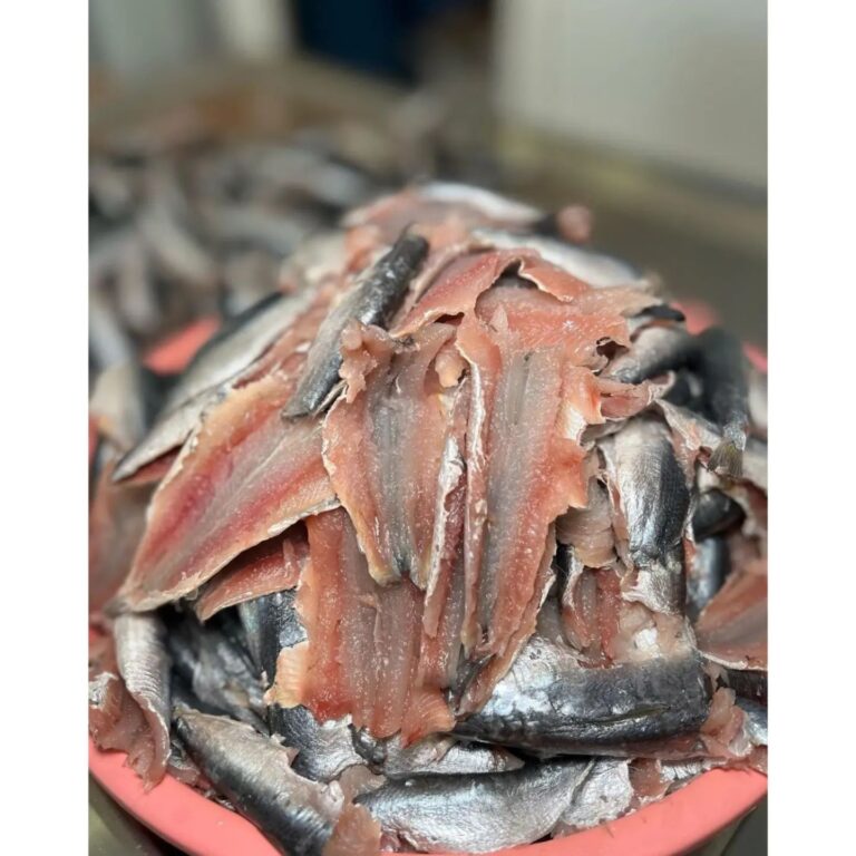 487823995 1224185873046307 9152653558584443410 n 768x768