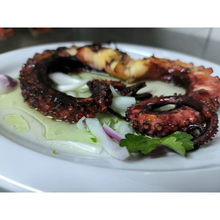 487841346 1224261679705393 8064648641209482154 n 768x768