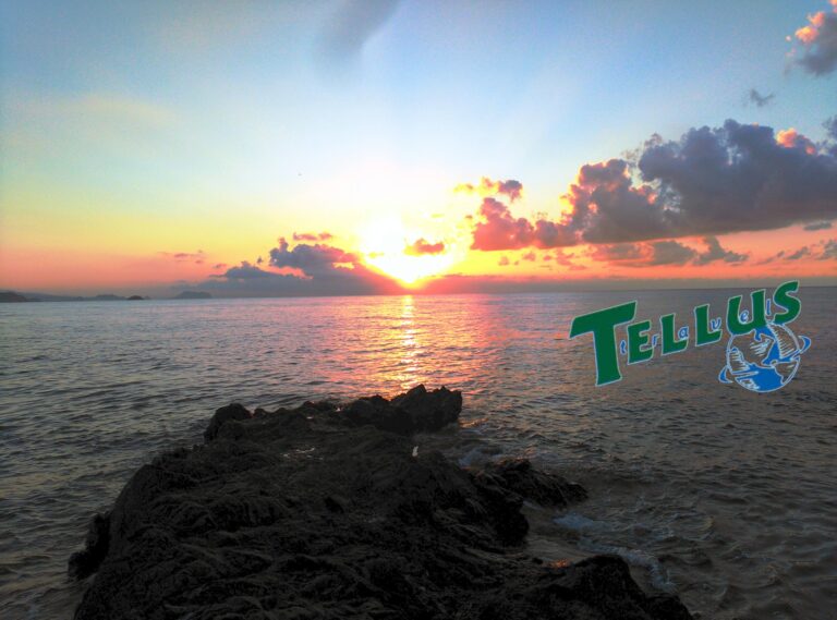 58442624 983048432083498 2461524776145911808 n 768x569