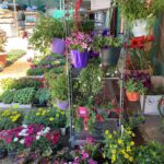 186461903 2825692497679537 795718400608786928 n 150x150