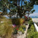 188103133 4064320603646877 596235256388576636 n 150x150