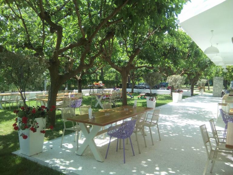 32944416 1780879401991020 1778801151345426432 n 768x576