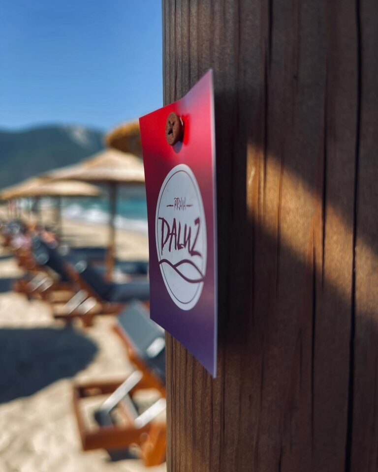 480823412 2854856448019782 1367731831187139311 n 768x960