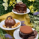 484102722 1155083589743563 5700135269543059042 n 150x150