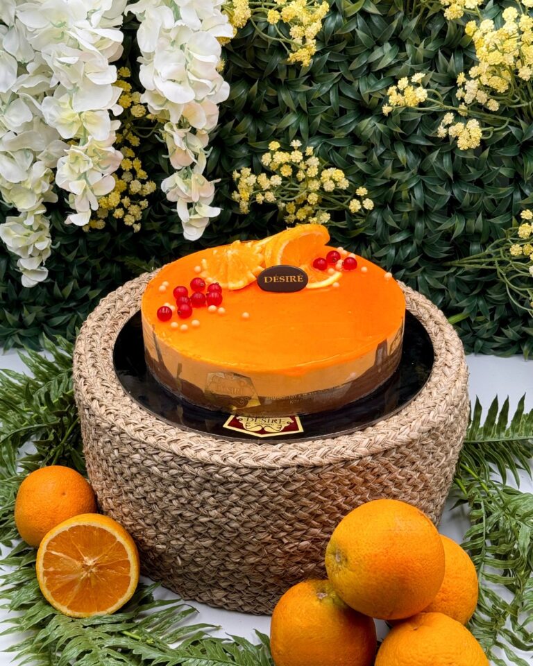 484152374 1155083703076885 8207207323751095878 n 768x960