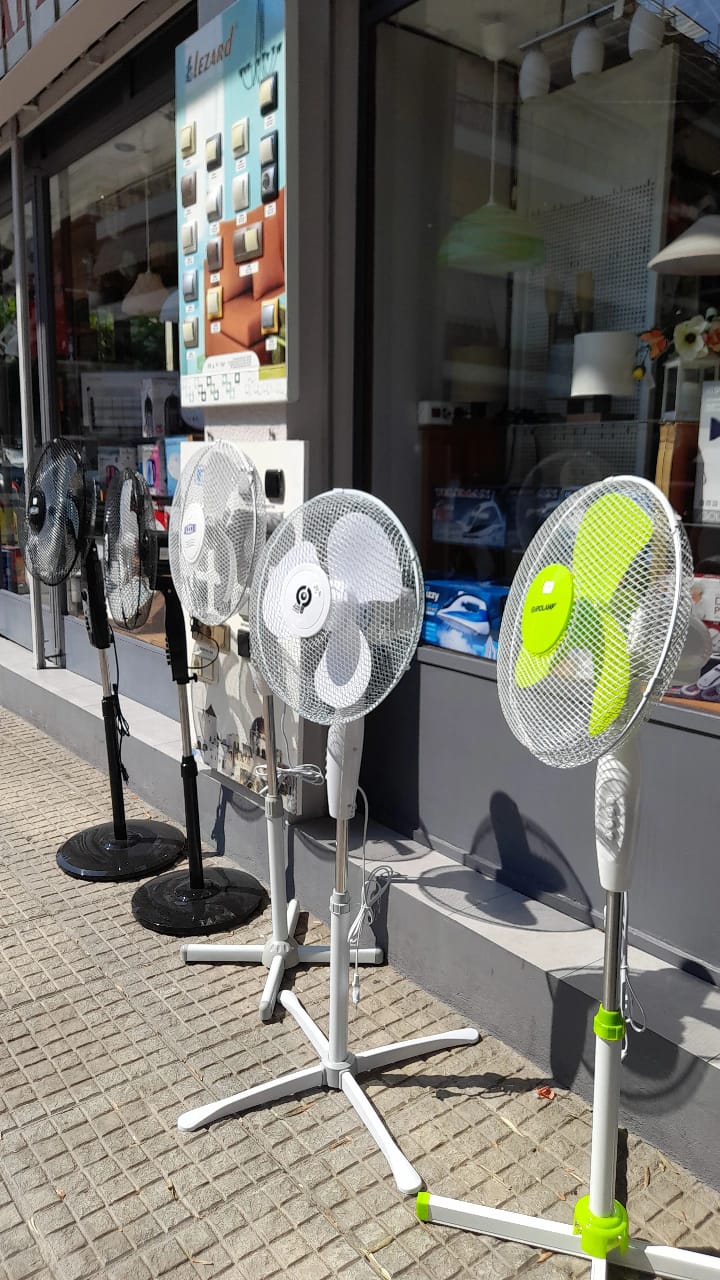 487313807 1139174811554894 5922399002813192812 n