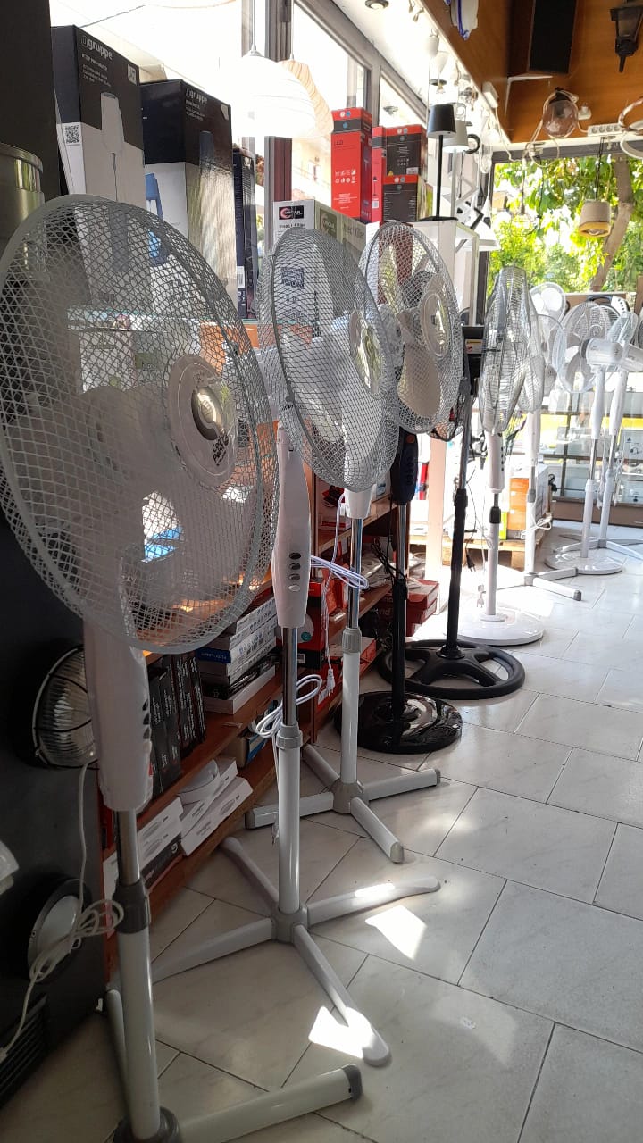 487386768 1139174934888215 5443051620969759561 n