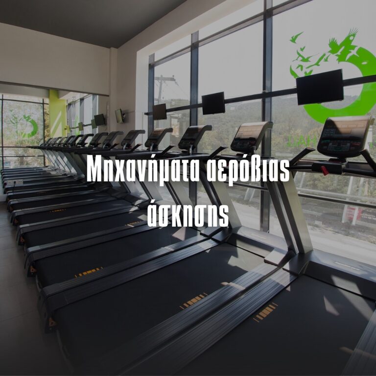 489626690 18493468735065530 1091147470061778052 n 768x768