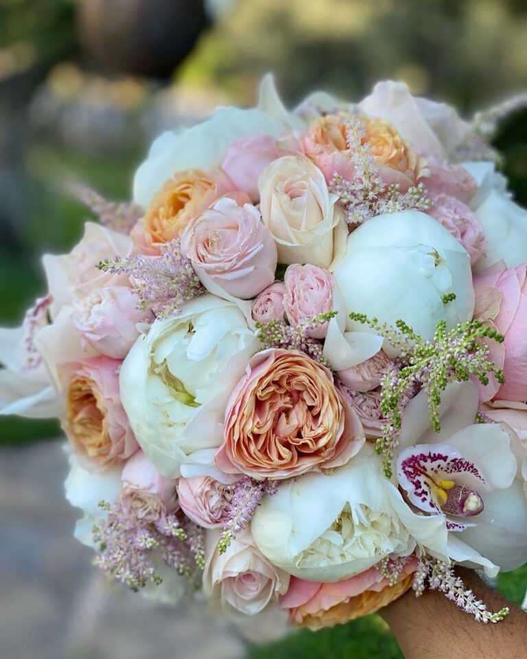 490620722 18263444044302416 7372484146105598831 n 768x960