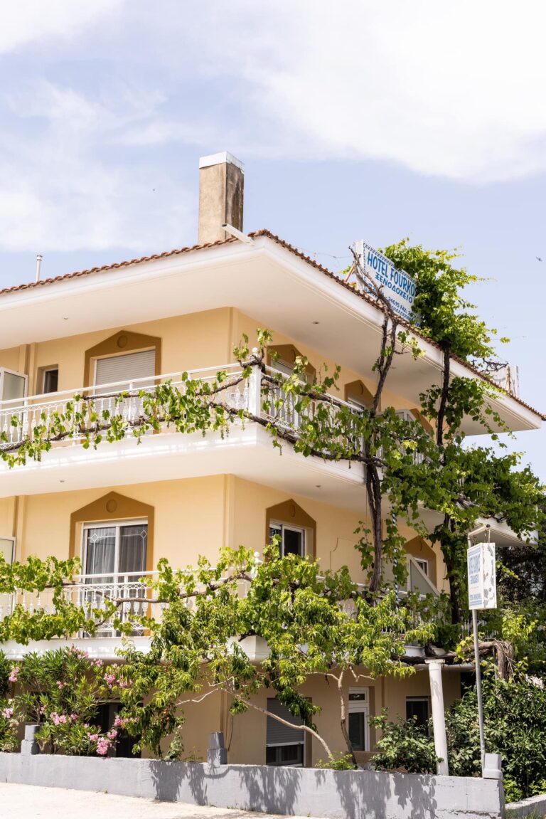 491528914 1271360798326410 5308267255066739399 n 768x1151