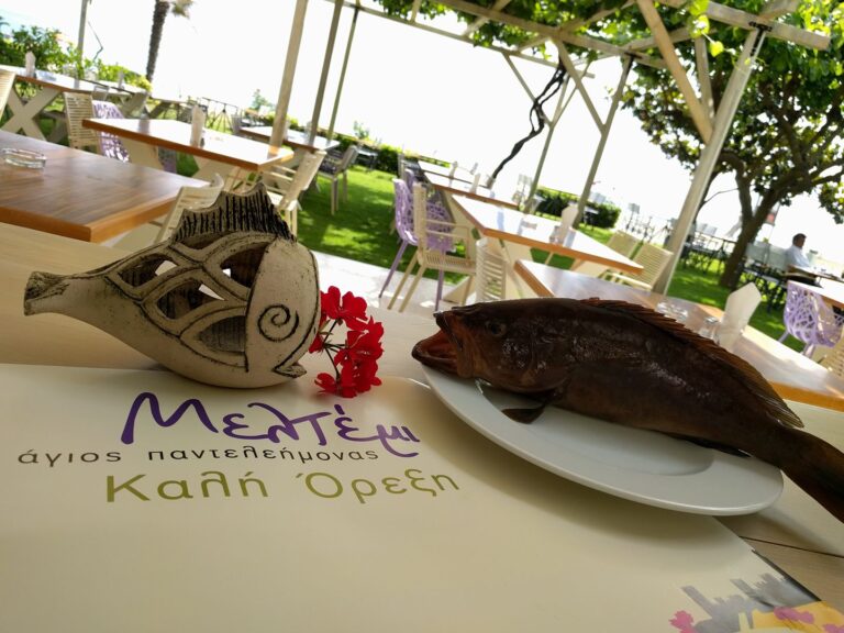 511206504 23948895361429440 3182788095069526240 n 768x576