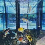 159611904 280727776748726 8020792240556439199 n 150x150