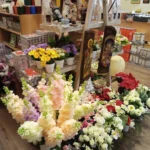 1641316868122 150x150