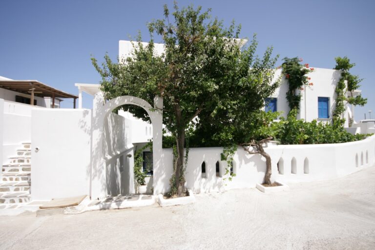 2.00005.20240215065338 768x512