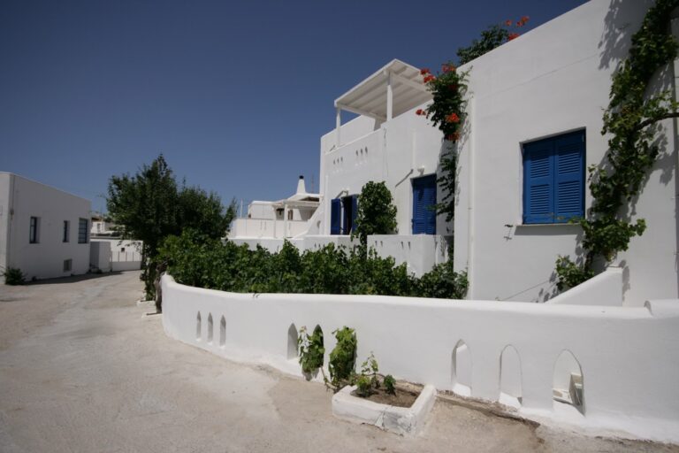 2.00015.20240215065337 768x512