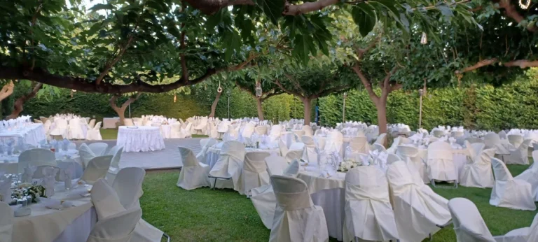 2023 05 20 2 768x346