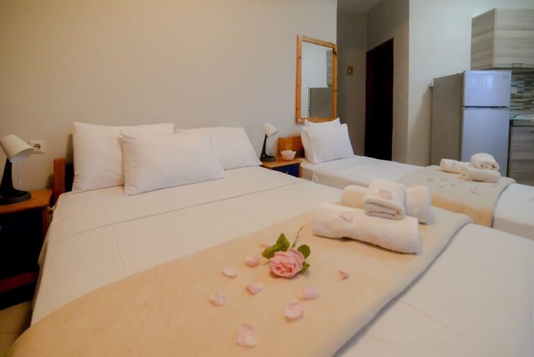 203091052 4256591554401169 2652616134432348340 n 768x513