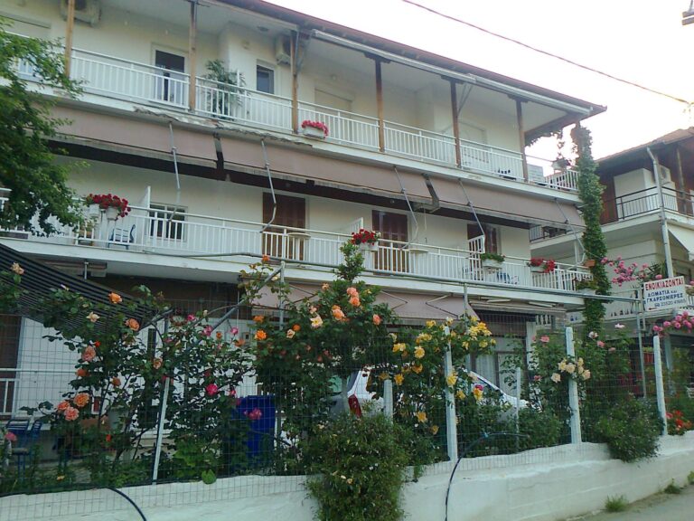 305446100 482209873915843 1188673468253072309 n 768x576