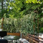 34278675 1679182078786299 7954469128012562432 n 150x150