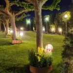 345166513 954925809120189 7159840126654675861 n 150x150