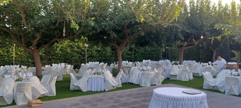 346151622 3438789843001485 7373342116531958397 n 768x346