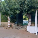 348359205 283288100716408 966691628055117811 n 150x150