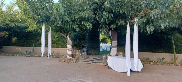 348359205 283288100716408 966691628055117811 n 768x346