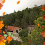 398445559 858749559586702 2078261347209192803 n 150x150