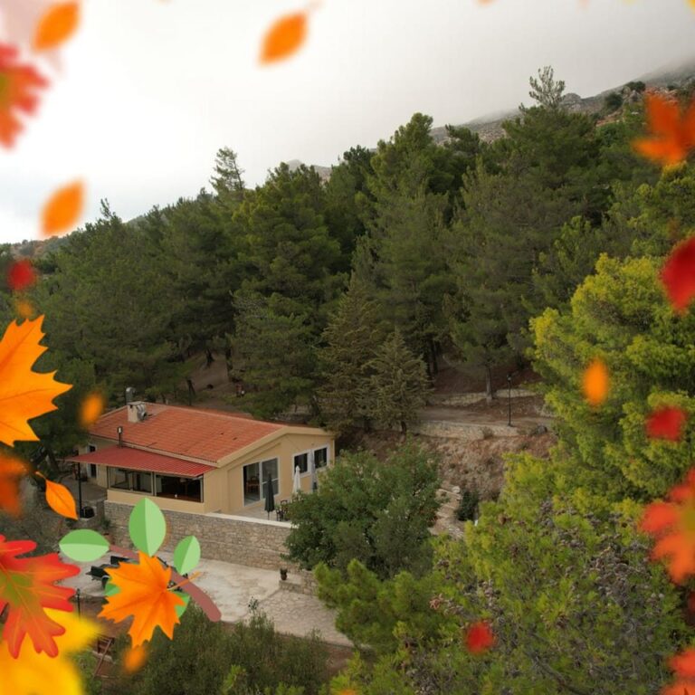 398445559 858749559586702 2078261347209192803 n 768x768