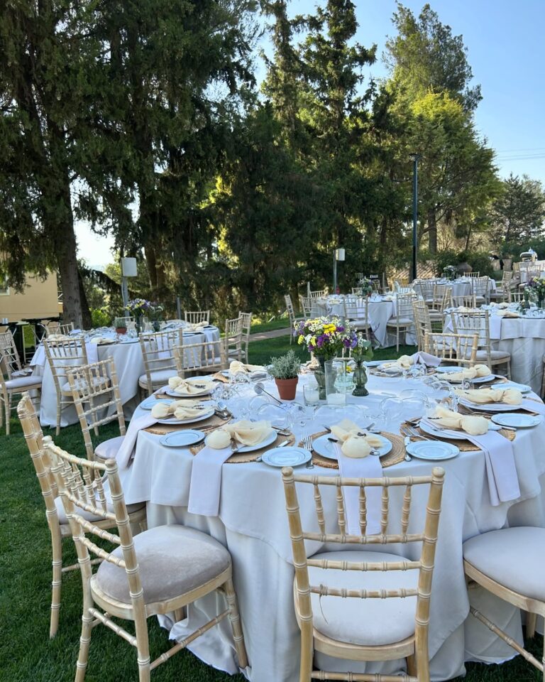 448522304 18442422124028770 1823589370075109886 n 768x960