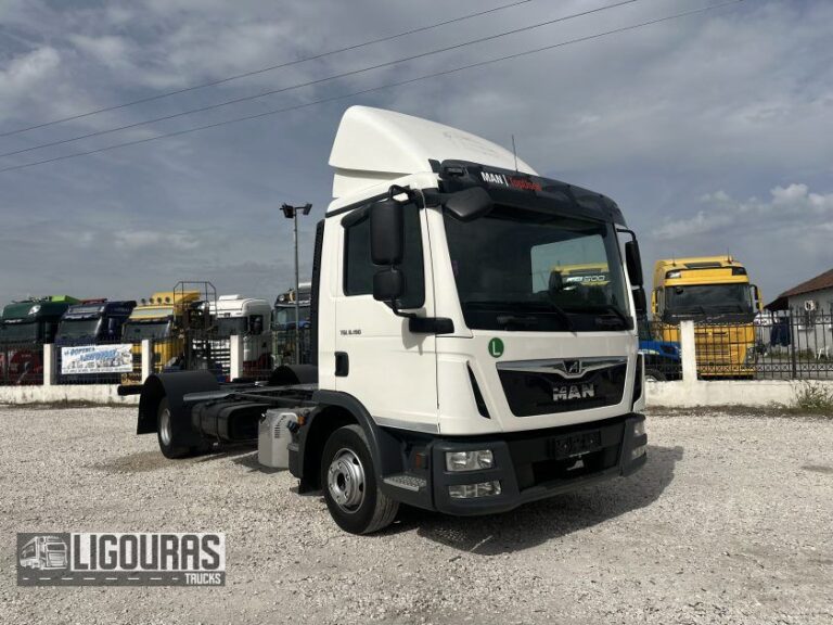 45551959 4xw b 768x576