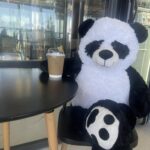 467199849 470275892749089 2591632072432339686 n 150x150