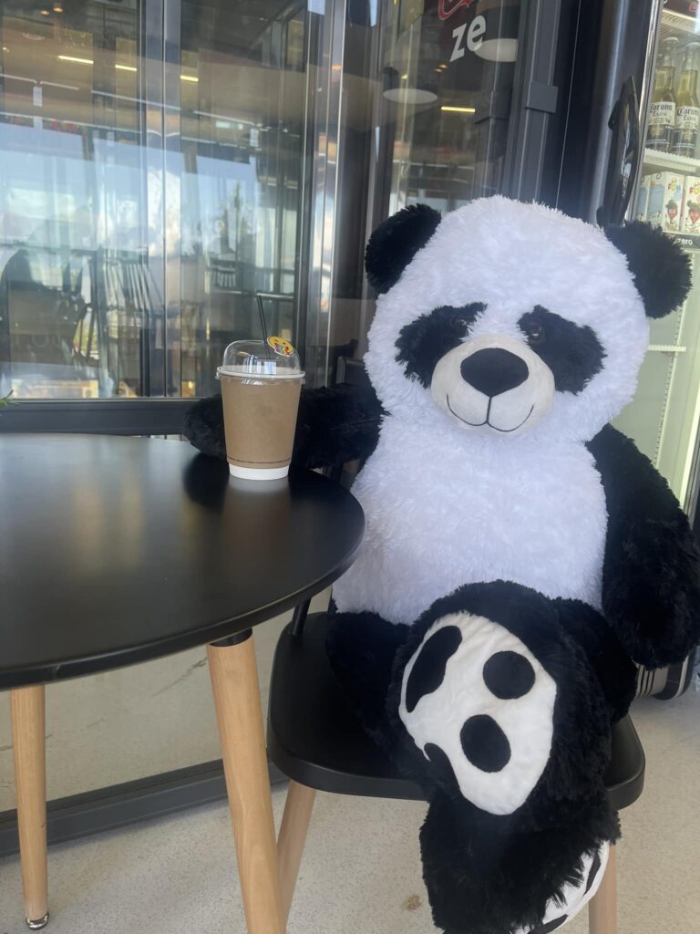 467199849 470275892749089 2591632072432339686 n 768x1024