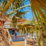 468316662 568314919277529 2068524277468628728 n 150x150